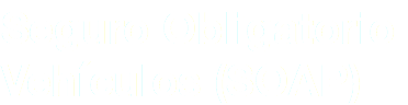 Seguro Obligatorio Vehículos (SOAP)