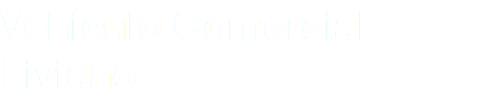 Vehículo Comercial Liviano